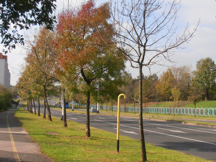 Albatros Apartman : A1