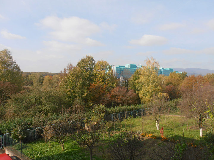 Albatros Apartman : A1